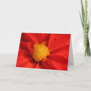 Orange Dahlia Kort