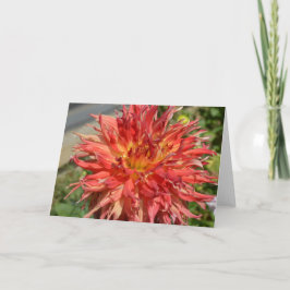 Orange dahlia på anteckningskort