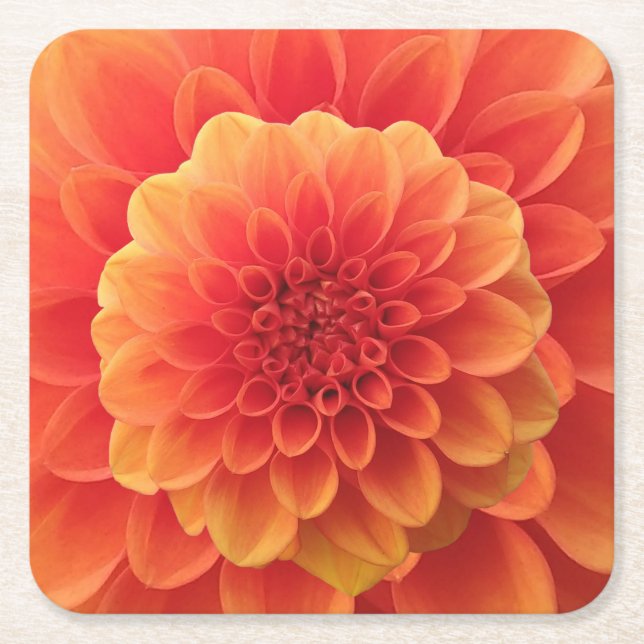 Orange Dahlia Underlägg Papper Kvadrat (Framsidan)