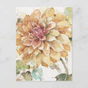 Orange Dahlia Vykort