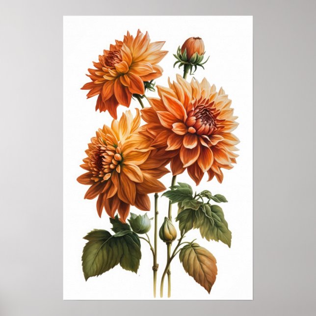 Orange Dahlias Flower Art Print Poster (Framsidan)