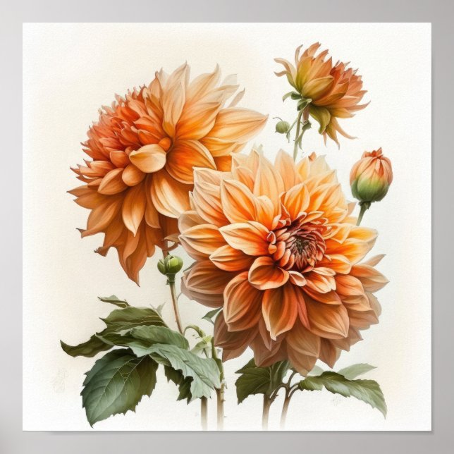 Orange Dahlias Flower Art Print Poster (Framsidan)