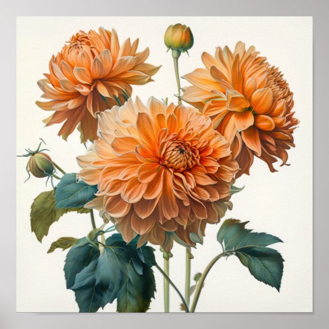Orange Dahlias Flower Art Print Poster (Framsidan)