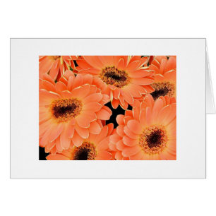 Orange Dahlias Hälsningskort