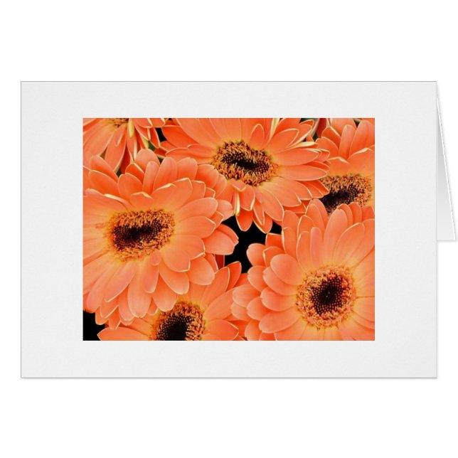 Orange Dahlias Hälsningskort (Framsidan Horizontal)