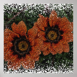 Orange Daisy Balls Affisch