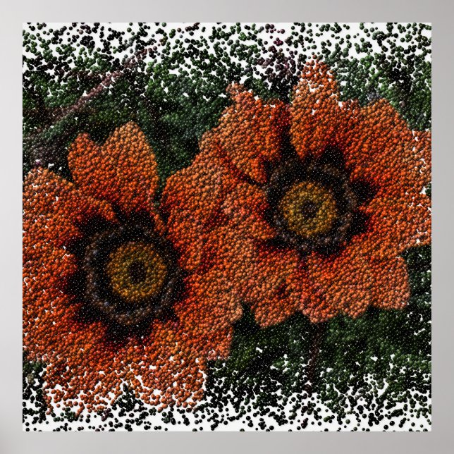 Orange Daisy Balls Affisch (Framsidan)