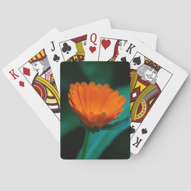 Orange daisy-blomma casinokort (Baksidan)