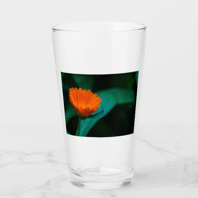 Orange daisy-blomma glaskopp (Framsida)