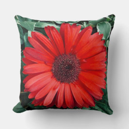 Orange Daisy Blommig Natur Kudde