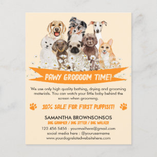 Orange Daisy Blommigt Design för Hund Groomers Flygblad