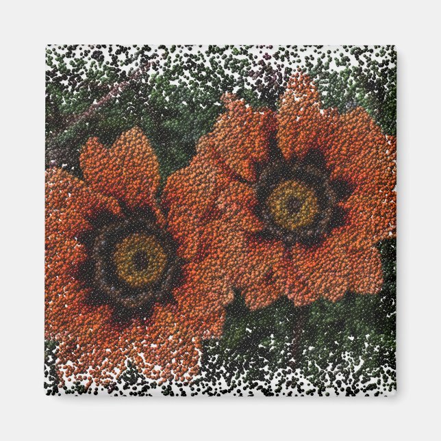 Orange Daisy Bollar Magnet (Framsidan)