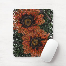 Orange Daisy Bollar musmatta