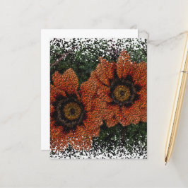 Orange Daisy Bollar Pappra Lakan