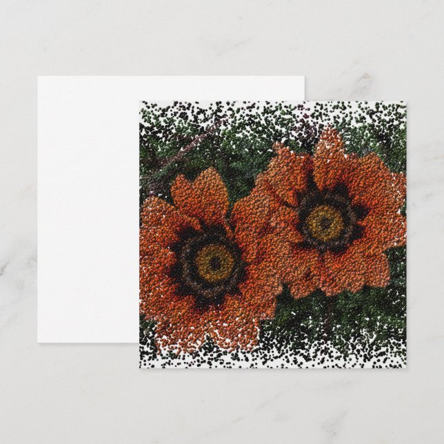 Orange Daisy Bollar - platta kort (Fram/baksida)