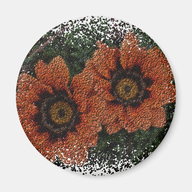 Orange Daisy Bollar Round Magnet (Framsidan)
