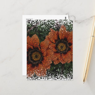 Orange Daisy Bollar vykort