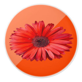 Orange Daisy Colorblock Keramisk Knopp
