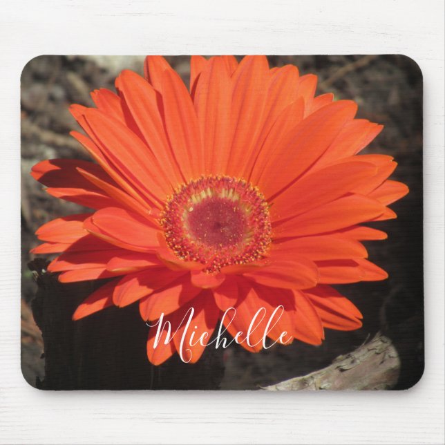 Orange Daisy Flower Photo Namn Musmatta (Framsidan)