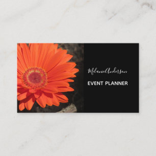 Orange Daisy Flower Photo Visitkort