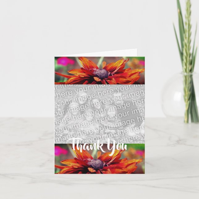 Orange Daisy Flower Tack Photo Card Kort (Framsida)