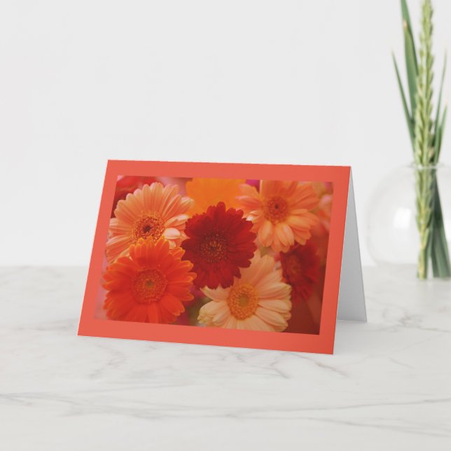 Orange Daisy Flowers Photo Hälsning eller Note Car Kort (Framsida)