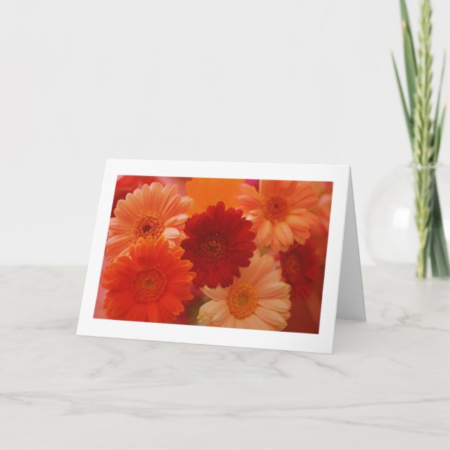 Orange Daisy Flowers Photo Note eller Greeting Car Kort (Framsida)