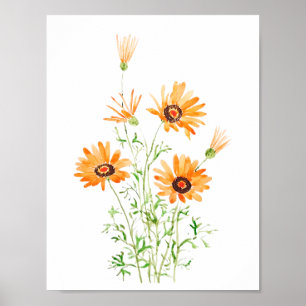 orange daisy för afrikansk vild, handmålad vattenf poster