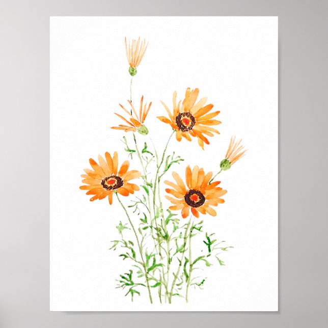 orange daisy för afrikansk vild, handmålad vattenf poster (Framsidan)