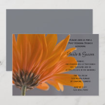 Orange Daisy Grå Efter Bröllopsfrukost