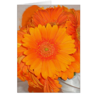 Orange daisy hälsningskort
