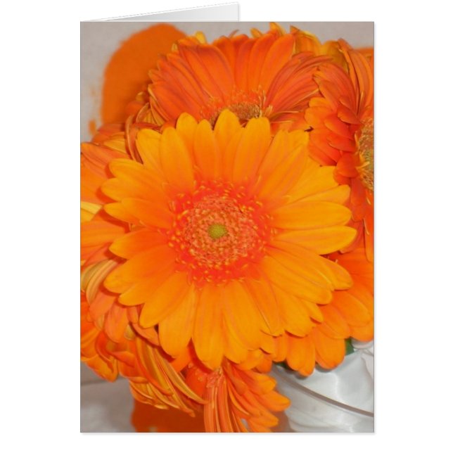 Orange daisy hälsningskort (Framsidan)