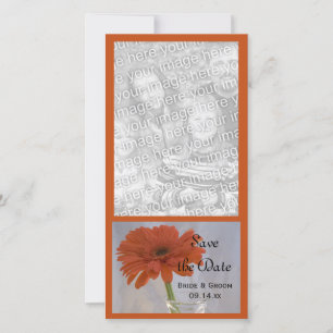 ORANGE DAISY i VAS BRÖLLOP SPARA DATUM Datumet
