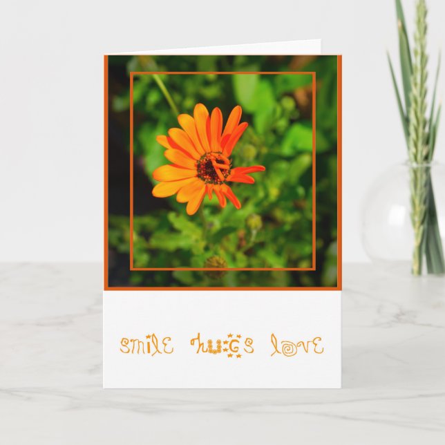 Orange Daisy-KORT Kort (Framsida)