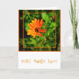 Orange Daisy-KORT Kort