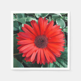 Orange Daisy napkins Pappersservett