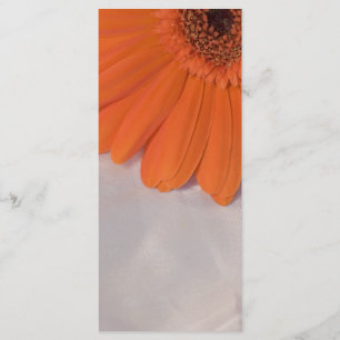 Orange Daisy och Bröllopsprogram av vit satin Program