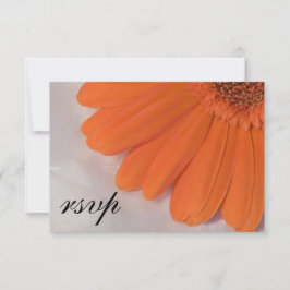 Orange Daisy Vit Bröllop OSA av satatin Kort