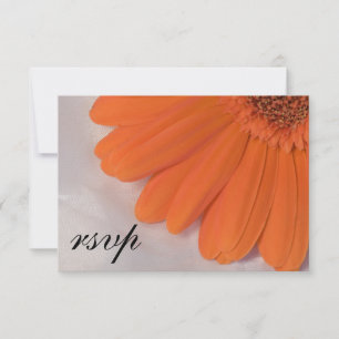 Orange Daisy Vit Bröllop OSA av satatin Kort