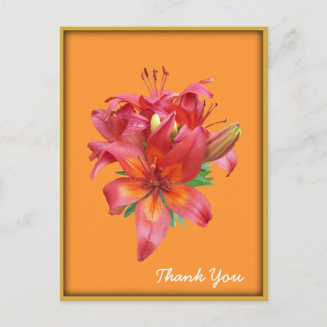 Orange Day Lily Flower vycard Vykort (Framsida)