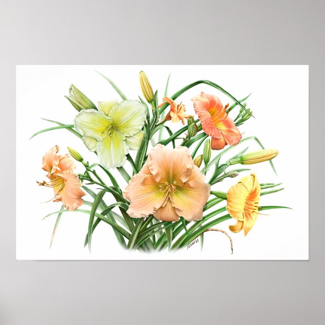 Orange Daylilies Original Botanical Art Print Poster (Framsidan)