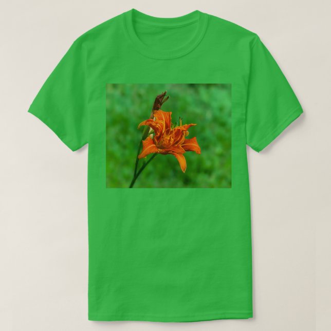 Orange Daylily 1 T Shirt (Design framsida)