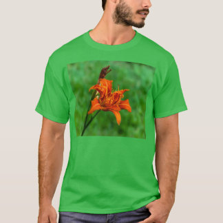 Orange Daylily 1 T Shirt