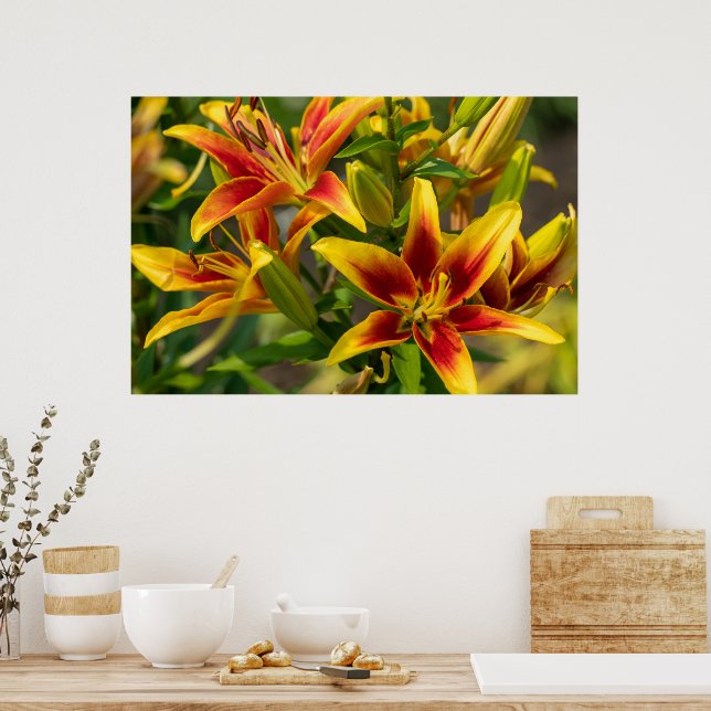 Orange Daylily Art, kanadensiska fotografier Poster (Kök)