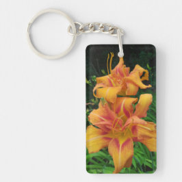 Orange Daylily Blooms