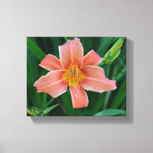 Orange Daylily Canvas