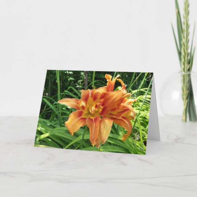 Orange Daylily Flowers Vågrät Kort (Framsida)