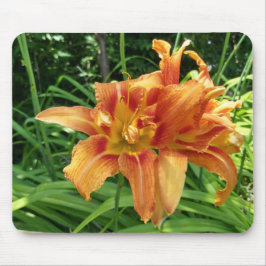 Orange Daylily Flowers Vågrät Musmatta