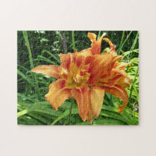 Orange Daylily Flowers Vågrät Pussel
