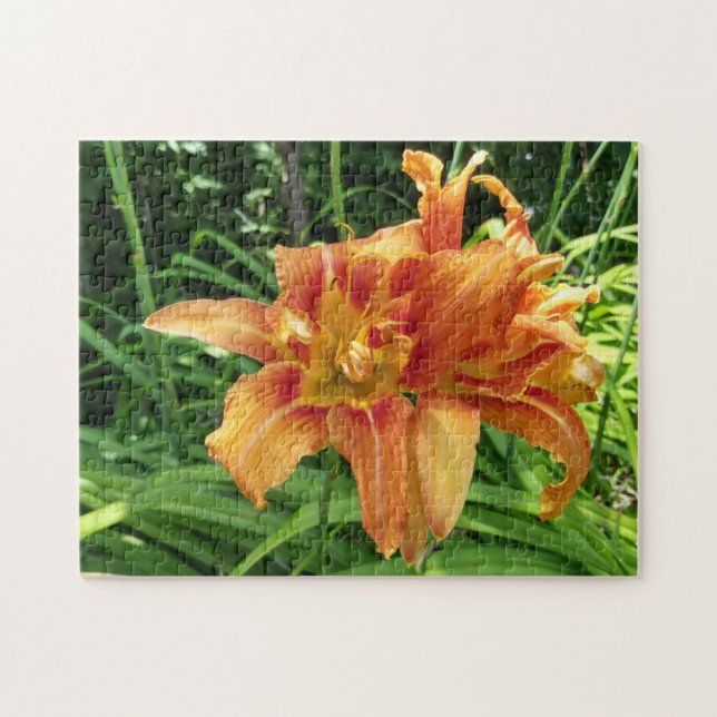 Orange Daylily Flowers Vågrät Pussel (Horisontell)